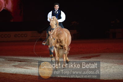 Dansk varmblod hingstekåring.
galashow
