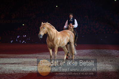 Dansk varmblod hingstekåring.
galashow
