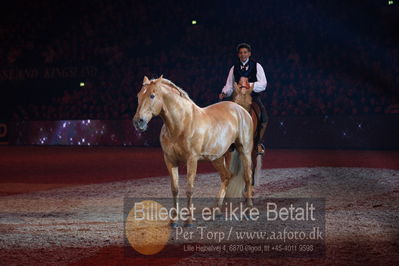 Dansk varmblod hingstekåring.
galashow
