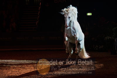 Dansk varmblod hingstekåring.
galashow
