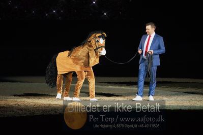 Dansk varmblod hingstekåring.
galashow
