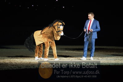 Dansk varmblod hingstekåring.
galashow
