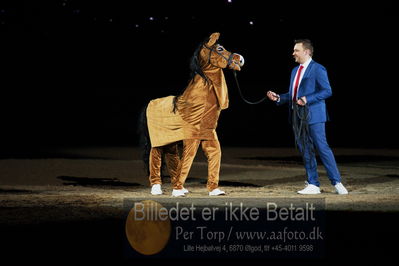 Dansk varmblod hingstekåring.
galashow
