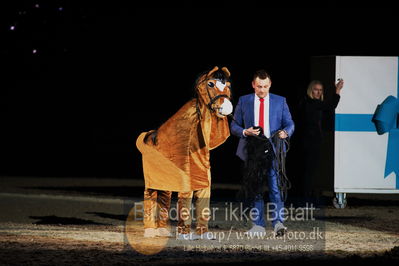 Dansk varmblod hingstekåring.
galashow
