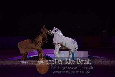 Dansk varmblod hingstekåring.
galashow
