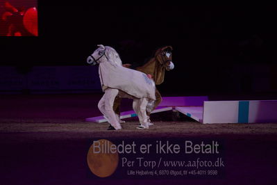 Dansk varmblod hingstekåring.
galashow
