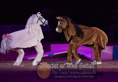 Dansk varmblod hingstekåring.
galashow
