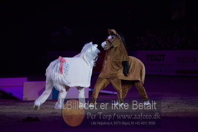 Dansk varmblod hingstekåring.
galashow
