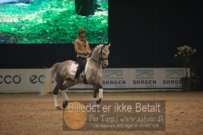 Dansk varmblod hingstekåring.
galashow
