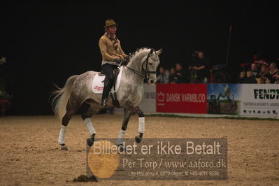 Dansk varmblod hingstekåring.
galashow
