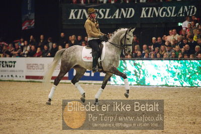 Dansk varmblod hingstekåring.
galashow
