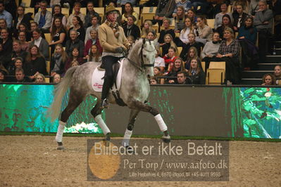 Dansk varmblod hingstekåring.
galashow
