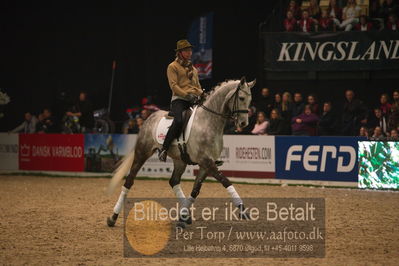 Dansk varmblod hingstekåring.
galashow
