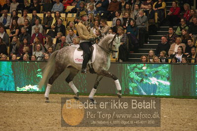 Dansk varmblod hingstekåring.
galashow
