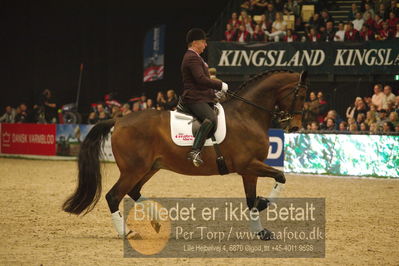 Dansk varmblod hingstekåring.
galashow
