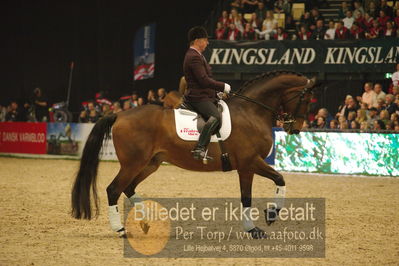 Dansk varmblod hingstekåring.
galashow
