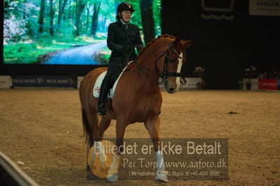 Dansk varmblod hingstekåring.
galashow
