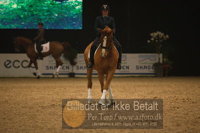 Dansk varmblod hingstekåring.
galashow
