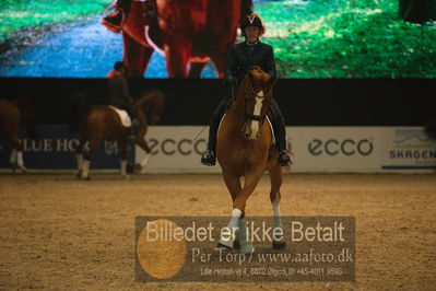 Dansk varmblod hingstekåring.
galashow
