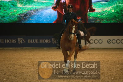 Dansk varmblod hingstekåring.
galashow
