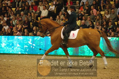 Dansk varmblod hingstekåring.
galashow
