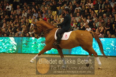 Dansk varmblod hingstekåring.
galashow
