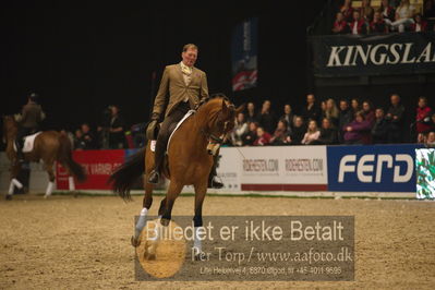 Dansk varmblod hingstekåring.
galashow
