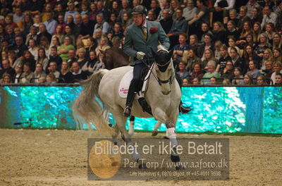 Dansk varmblod hingstekåring.
galashow
