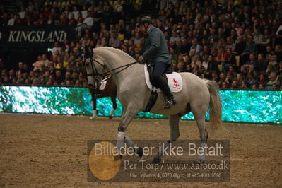 Dansk varmblod hingstekåring.
galashow
