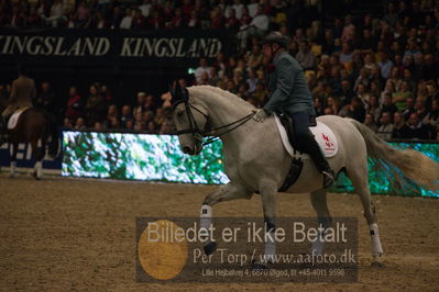 Dansk varmblod hingstekåring.
galashow
