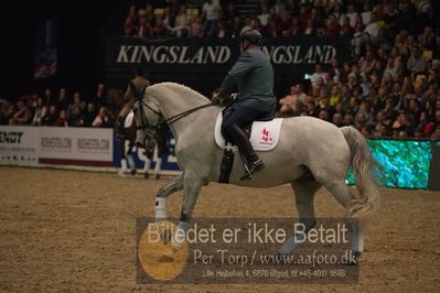 Dansk varmblod hingstekåring.
galashow
