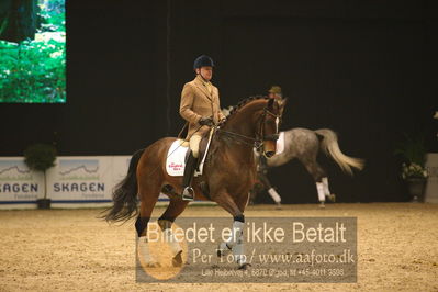 Dansk varmblod hingstekåring.
galashow
