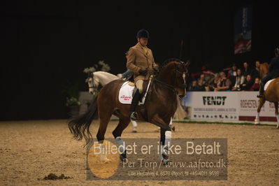 Dansk varmblod hingstekåring.
galashow
