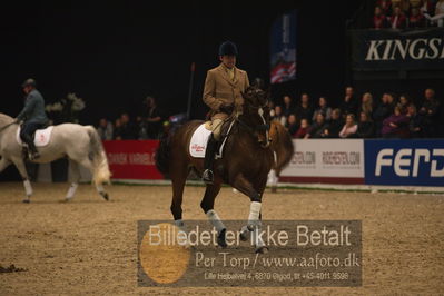 Dansk varmblod hingstekåring.
galashow
