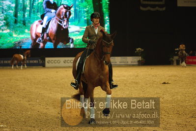 Dansk varmblod hingstekåring.
galashow
