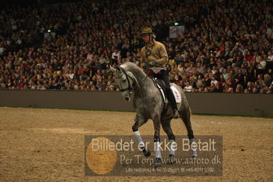 Dansk varmblod hingstekåring.
galashow
