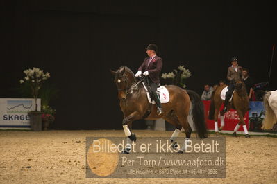 Dansk varmblod hingstekåring.
galashow
