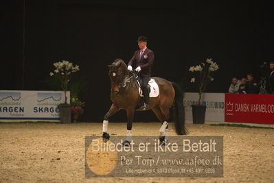 Dansk varmblod hingstekåring.
galashow
