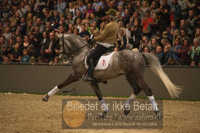 Dansk varmblod hingstekåring.
galashow
