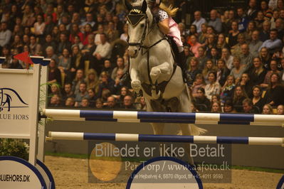 Dansk varmblod hingstekåring.
galashow
