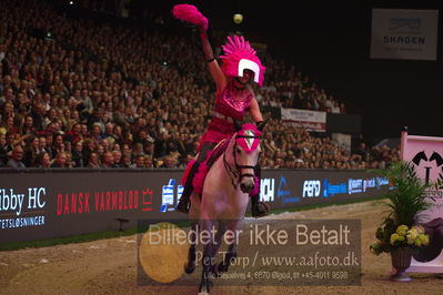 Dansk varmblod hingstekåring.
galashow
