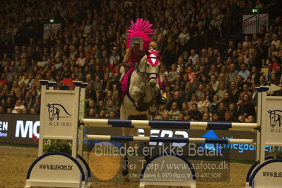 Dansk varmblod hingstekåring.
galashow
