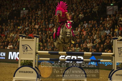 Dansk varmblod hingstekåring.
galashow
