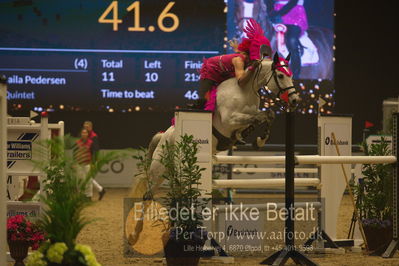 Dansk varmblod hingstekåring.
galashow
