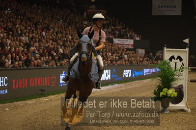 Dansk varmblod hingstekåring.
galashow
