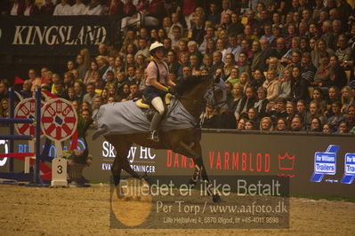 Dansk varmblod hingstekåring.
galashow
