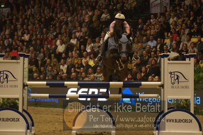 Dansk varmblod hingstekåring.
galashow
