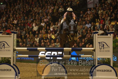 Dansk varmblod hingstekåring.
galashow
