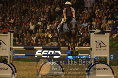 Dansk varmblod hingstekåring.
galashow
