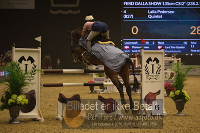 Dansk varmblod hingstekåring.
galashow
